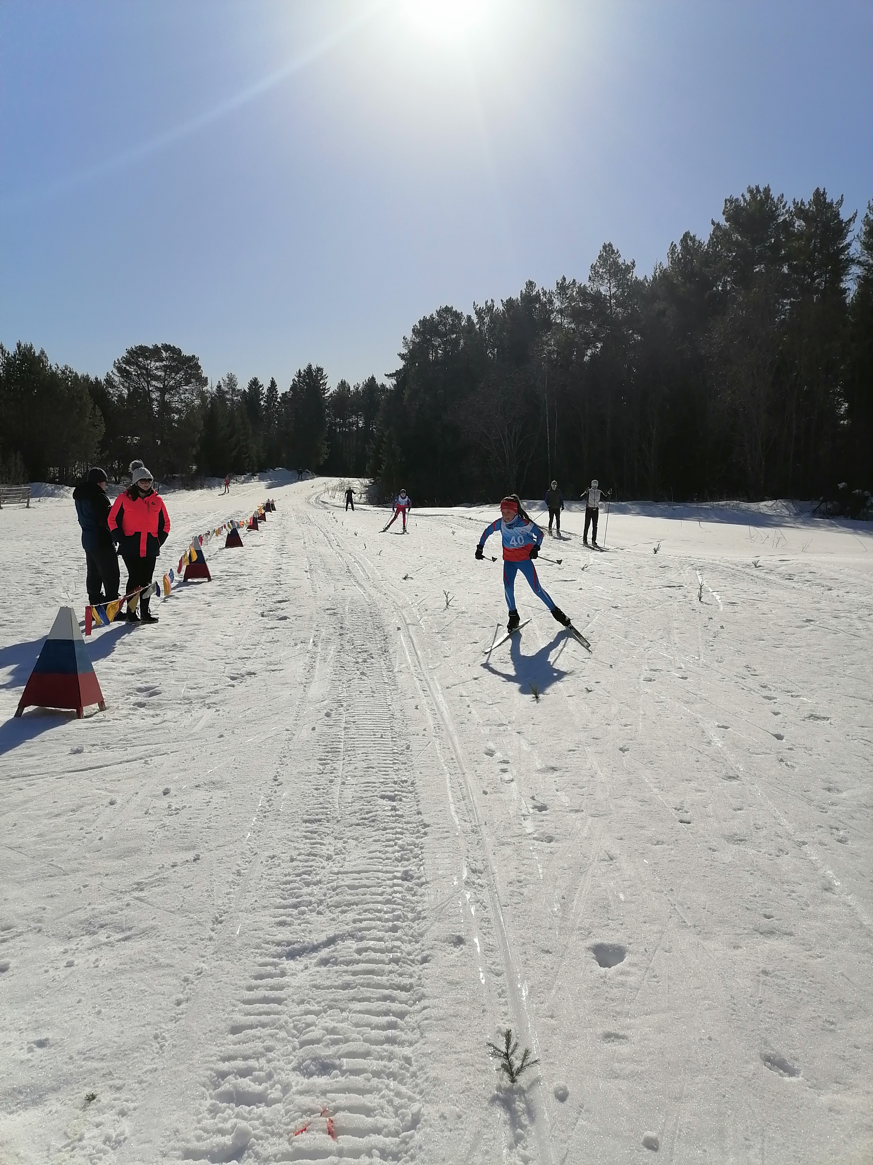 Васильева Дарья Сергеевна